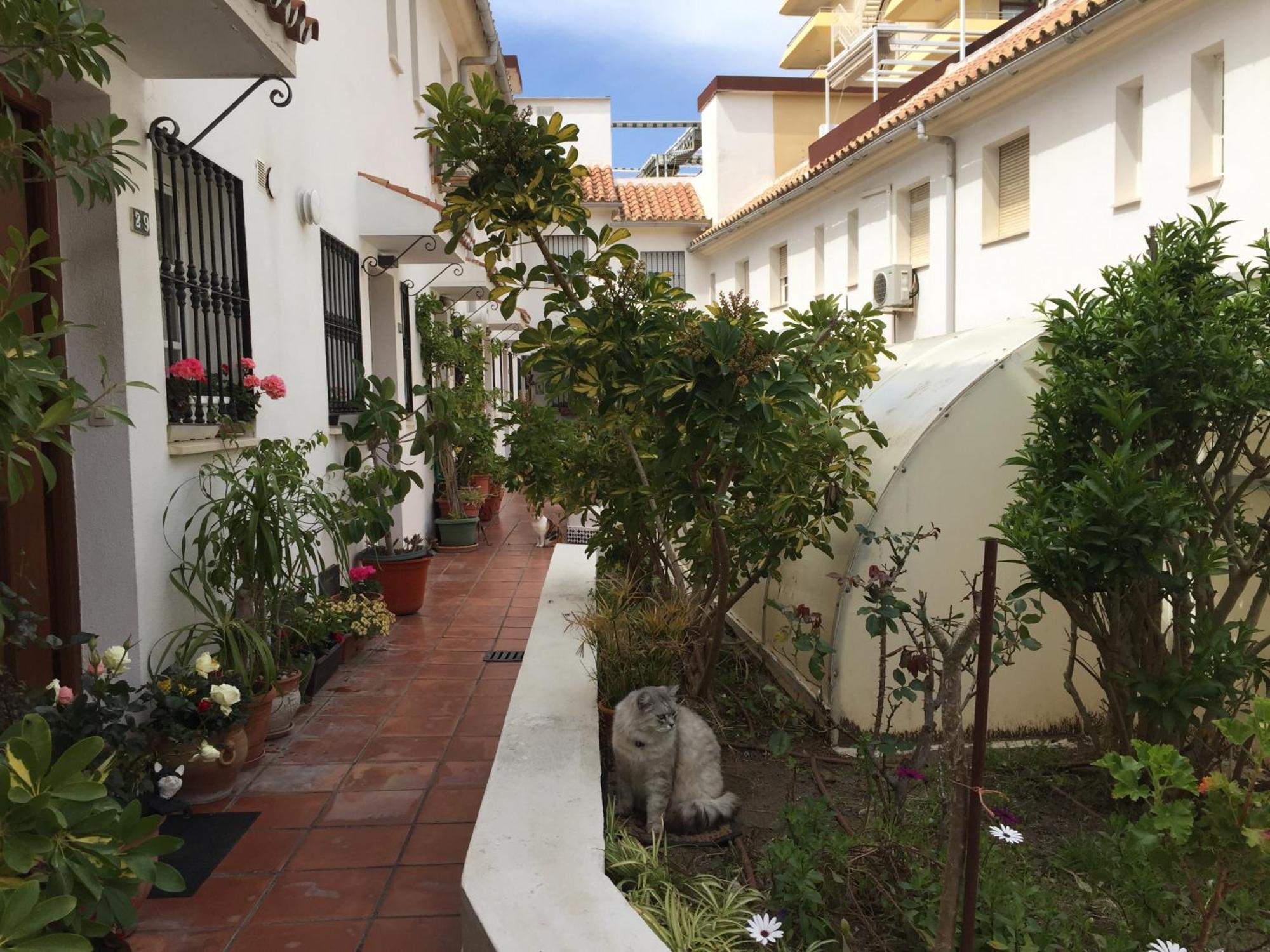 El Cortijuelo. Magnificent Triplex Terraced House With Rooftop Of 18M2, Overlooking The Sea. Parking Torremolinos Ngoại thất bức ảnh
